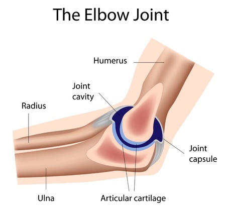 ulna elbow fracture